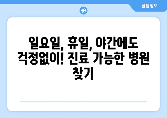 전라남도 진도군 진도읍 일요일 휴일 공휴일 야간 진료병원 리스트