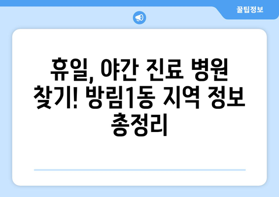 광주시 남구 방림1동 일요일 휴일 공휴일 야간 진료병원 리스트