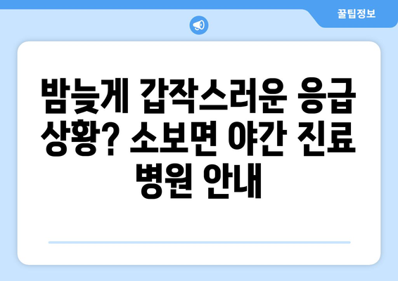 경상북도 군위군 소보면 일요일 휴일 공휴일 야간 진료병원 리스트