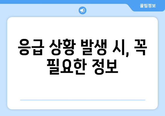 세종시 세종특별자치시 금남면 일요일 휴일 공휴일 야간 진료병원 리스트