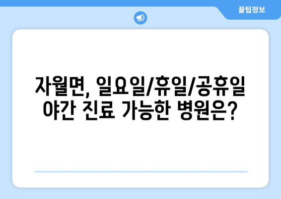 인천시 옹진군 자월면 일요일 휴일 공휴일 야간 진료병원 리스트