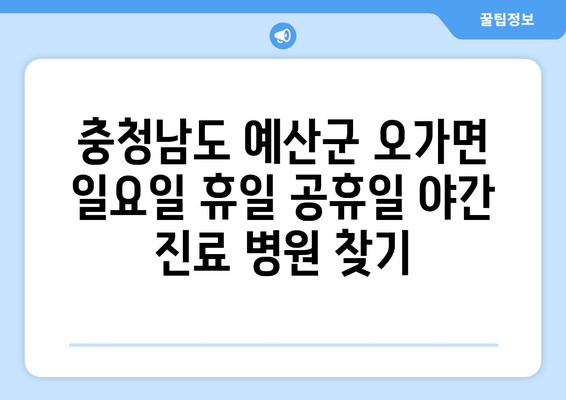 충청남도 예산군 오가면 일요일 휴일 공휴일 야간 진료병원 리스트