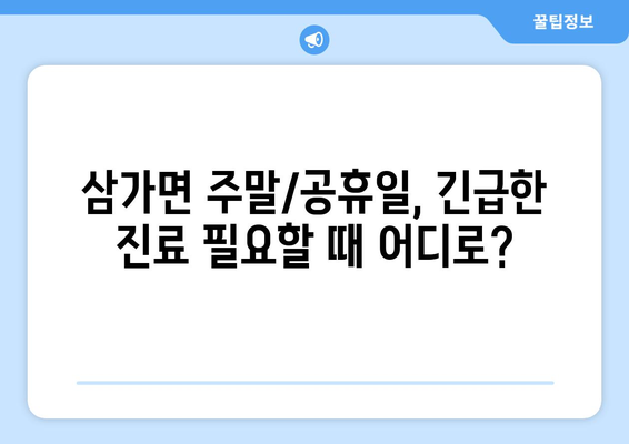 경상남도 합천군 삼가면 일요일 휴일 공휴일 야간 진료병원 리스트