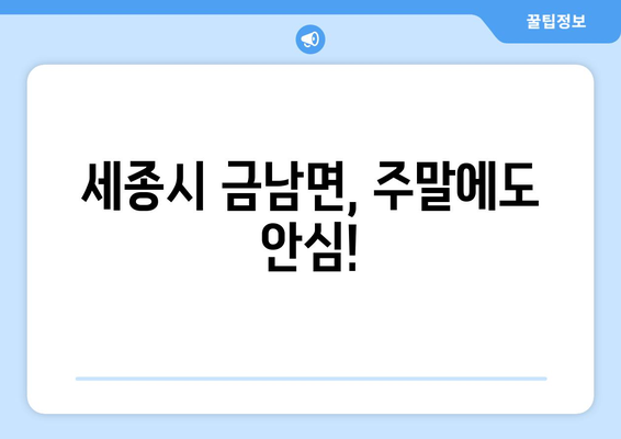 세종시 세종특별자치시 금남면 일요일 휴일 공휴일 야간 진료병원 리스트