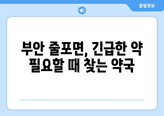 전라북도 부안군 줄포면 24시간 토요일 일요일 휴일 공휴일 야간 약국