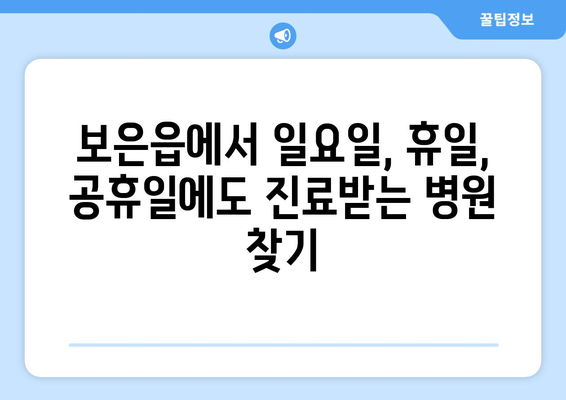 충청북도 보은군 보은읍 일요일 휴일 공휴일 야간 진료병원 리스트