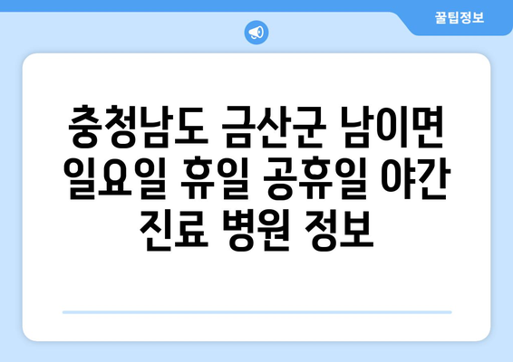 충청남도 금산군 남이면 일요일 휴일 공휴일 야간 진료병원 리스트