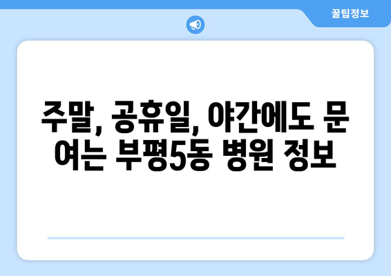 인천시 부평구 부평5동 일요일 휴일 공휴일 야간 진료병원 리스트