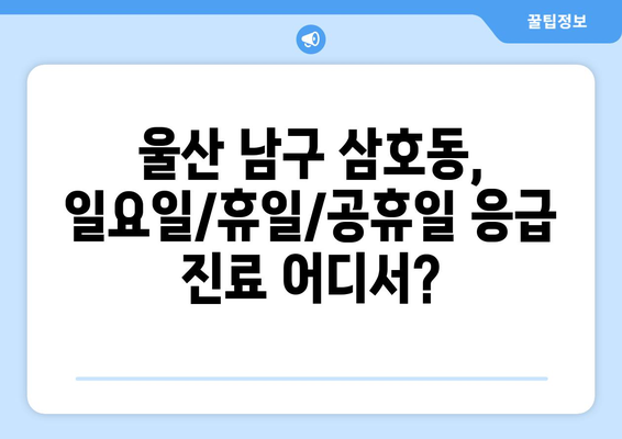 울산시 남구 삼호동 일요일 휴일 공휴일 야간 진료병원 리스트