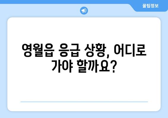 강원도 영월군 영월읍 일요일 휴일 공휴일 야간 진료병원 리스트