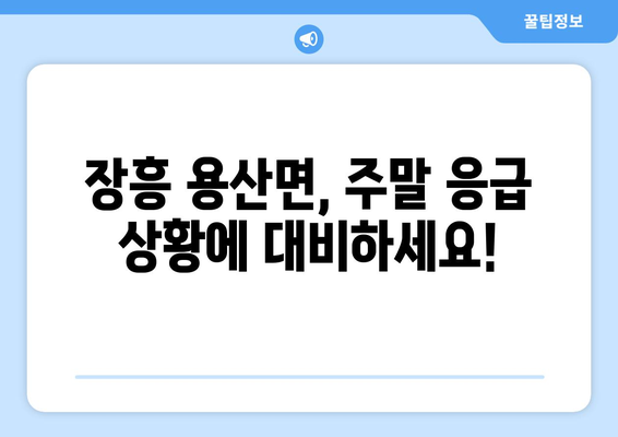 전라남도 장흥군 용산면 일요일 휴일 공휴일 야간 진료병원 리스트