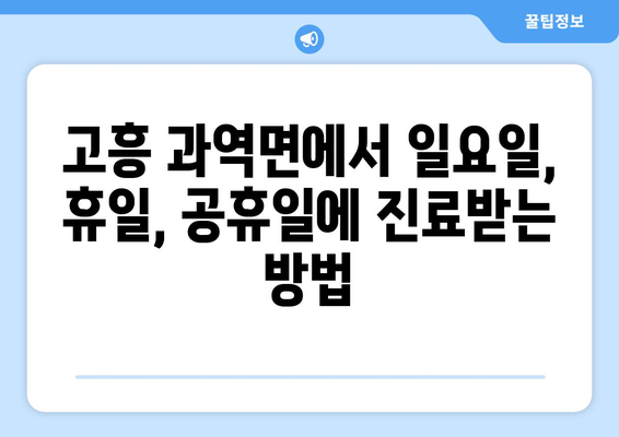 전라남도 고흥군 과역면 일요일 휴일 공휴일 야간 진료병원 리스트