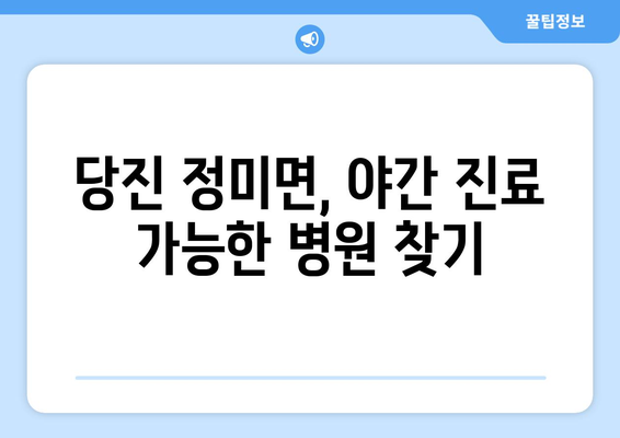 충청남도 당진시 정미면 일요일 휴일 공휴일 야간 진료병원 리스트