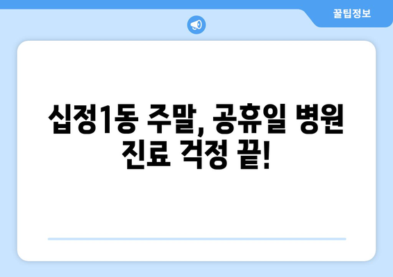 인천시 부평구 십정1동 일요일 휴일 공휴일 야간 진료병원 리스트