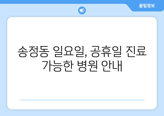 부산시 해운대구 송정동 일요일 휴일 공휴일 야간 진료병원 리스트