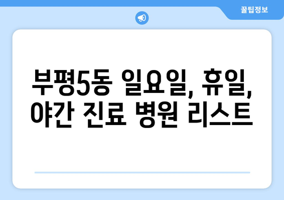 인천시 부평구 부평5동 일요일 휴일 공휴일 야간 진료병원 리스트