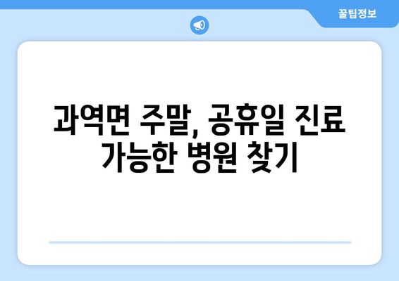 전라남도 고흥군 과역면 일요일 휴일 공휴일 야간 진료병원 리스트