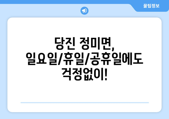 충청남도 당진시 정미면 일요일 휴일 공휴일 야간 진료병원 리스트