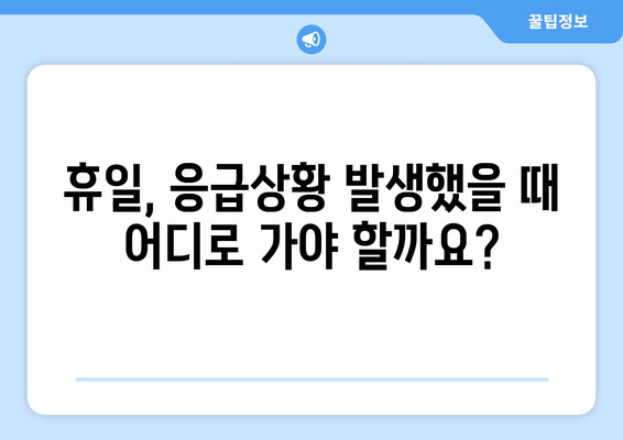 서울시 광진구 자양제3동 일요일 휴일 공휴일 야간 진료병원 리스트