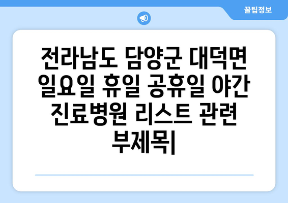 전라남도 담양군 대덕면 일요일 휴일 공휴일 야간 진료병원 리스트