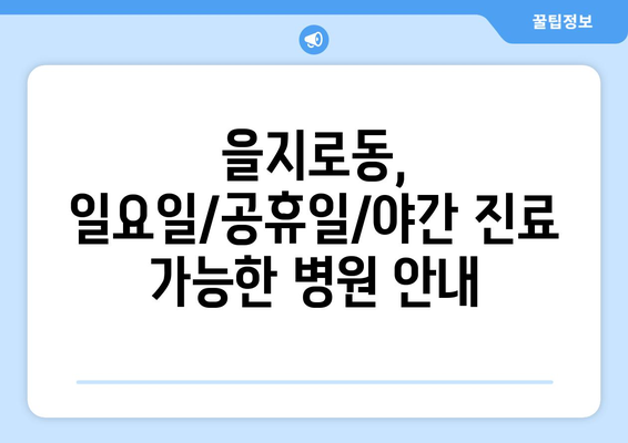 서울시 중구 을지로동 일요일 휴일 공휴일 야간 진료병원 리스트