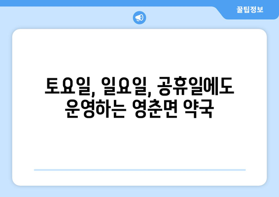 충청북도 단양군 영춘면 24시간 토요일 일요일 휴일 공휴일 야간 약국