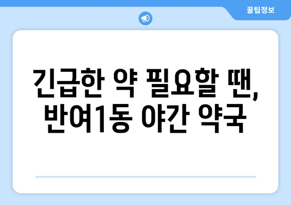 부산시 해운대구 반여1동 24시간 토요일 일요일 휴일 공휴일 야간 약국