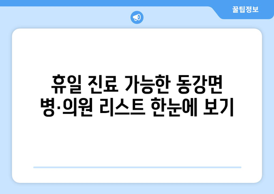 전라남도 고흥군 동강면 일요일 휴일 공휴일 야간 진료병원 리스트