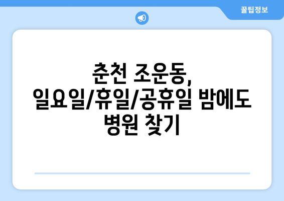 강원도 춘천시 조운동 일요일 휴일 공휴일 야간 진료병원 리스트