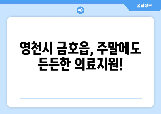 경상북도 영천시 금호읍 일요일 휴일 공휴일 야간 진료병원 리스트