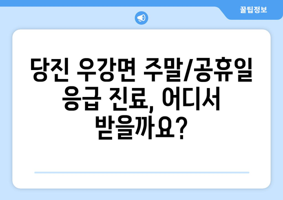 충청남도 당진시 우강면 일요일 휴일 공휴일 야간 진료병원 리스트