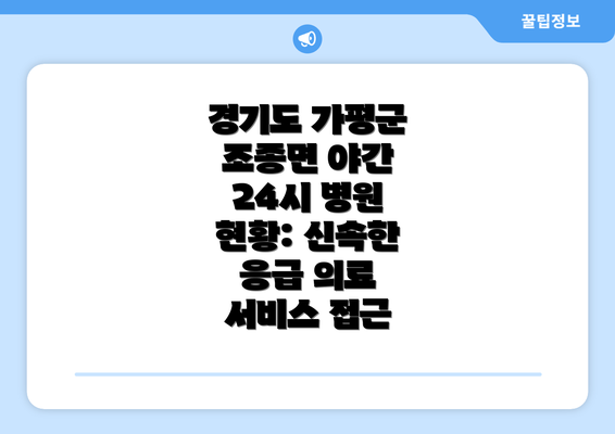 경기도 가평군 조종면 야간 응급 의료 체계의 중요성