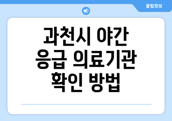 과천시 야간 응급 의료기관 확인 방법