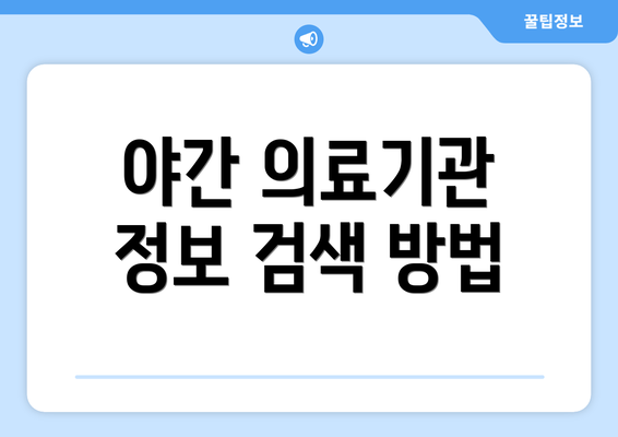 야간 의료기관 정보 검색 방법