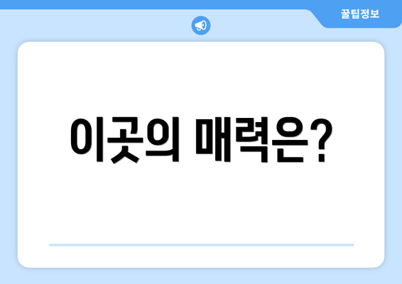 이곳의 매력은?