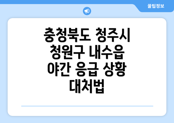 충청북도 청주시 청원구 내수읍 야간 응급 상황 대처법