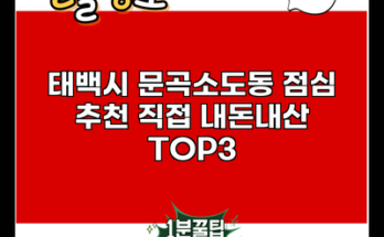 태백시 문곡소도동 점심 추천 직접 내돈내산 TOP3