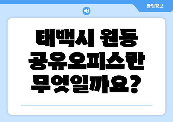 태백시 원동 공유오피스란 무엇일까요?