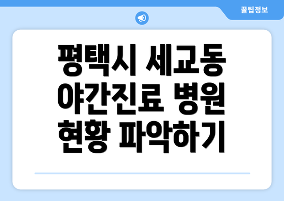 평택시 세교동 야간진료 병원 현황 파악하기